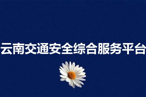 云南交通安全综合服务平台