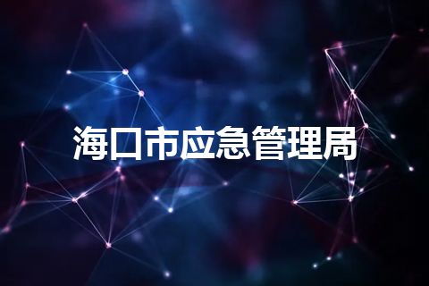 海口市应急管理局