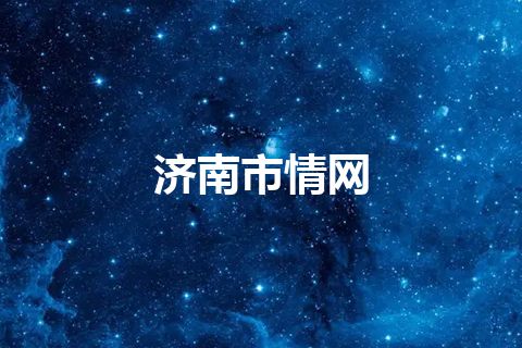 济南市情网