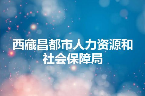 西藏昌都市人力资源和社会保障局