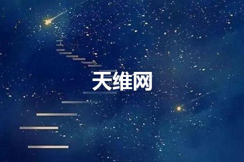 天维网