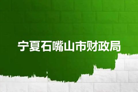 宁夏石嘴山市财政局