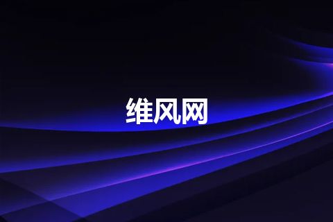 维风网