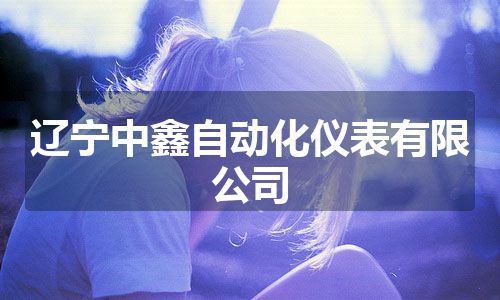 辽宁中鑫自动化仪表有限公司