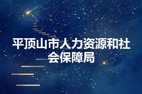 平顶山市人力资源和社会保障局