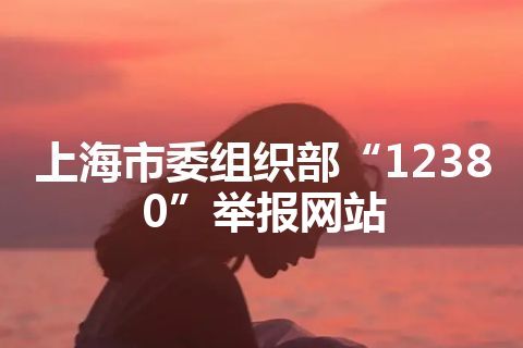 上海市委组织部“12380”举报网站