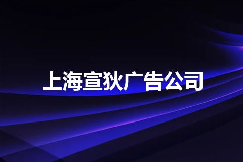 上海宣狄广告公司