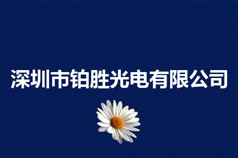 深圳市铂胜光电有限公司