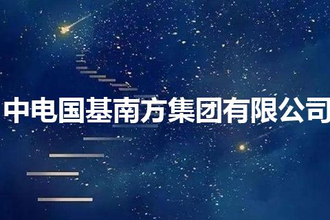 中电国基南方集团有限公司