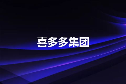 喜多多集团