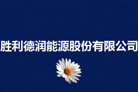 胜利德润能源股份有限公司