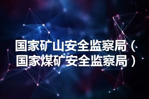 国家矿山安全监察局（国家煤矿安全监察局）