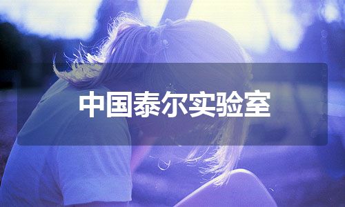 中国泰尔实验室