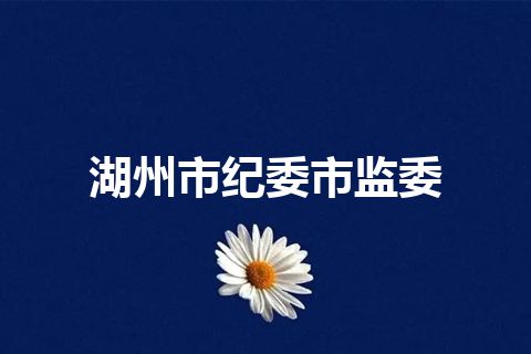 湖州市纪委市监委