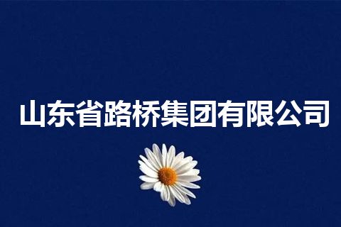 山东省路桥集团有限公司