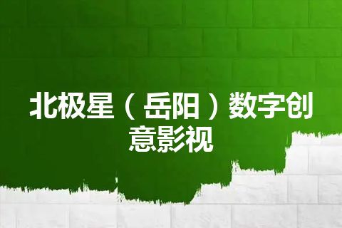 北极星（岳阳）数字创意影视