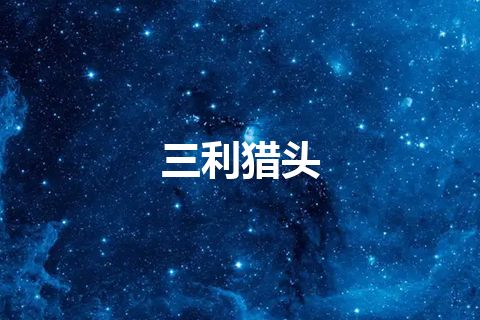 三利猎头