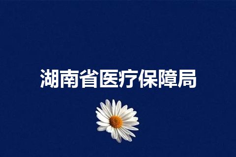 湖南省医疗保障局