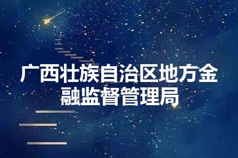 广西壮族自治区地方金融监督管理局 广西壮族自治区地方金融监督管理局