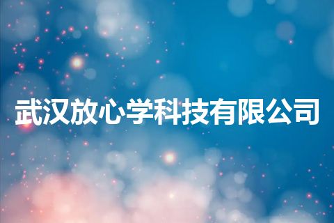 武汉放心学科技有限公司
