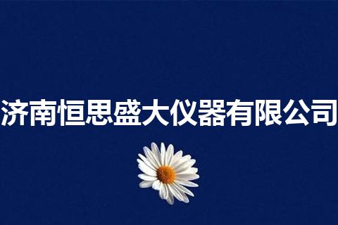 济南恒思盛大仪器有限公司