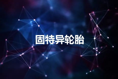 固特异轮胎