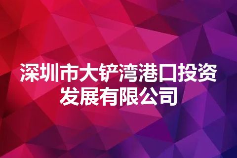 深圳市大铲湾港口投资发展有限公司