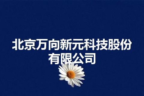 北京万向新元科技股份有限公司