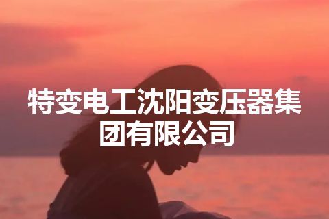 特变电工沈阳变压器集团有限公司