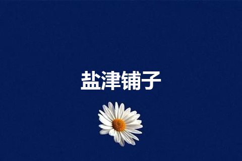 盐津铺子