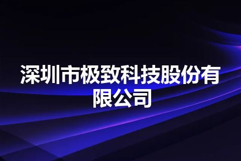 深圳市极致科技股份有限公司