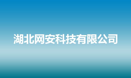湖北网安科技有限公司