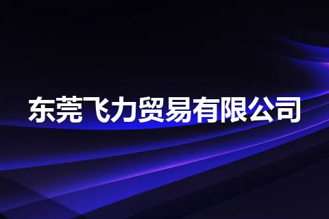 东莞飞力贸易有限公司