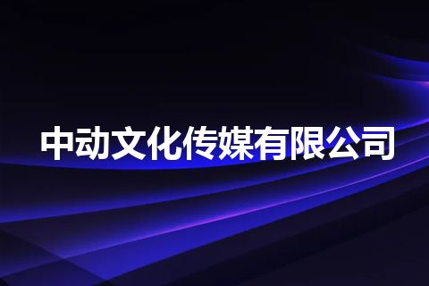 中动文化传媒有限公司