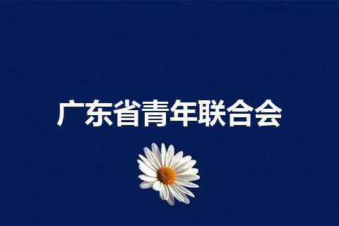 广东省青年联合会