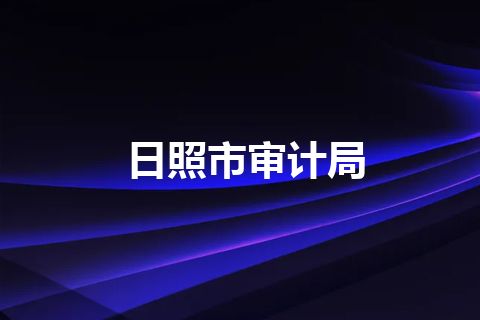 日照市审计局