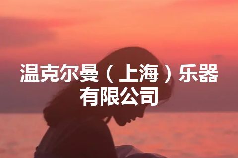 温克尔曼（上海）乐器有限公司