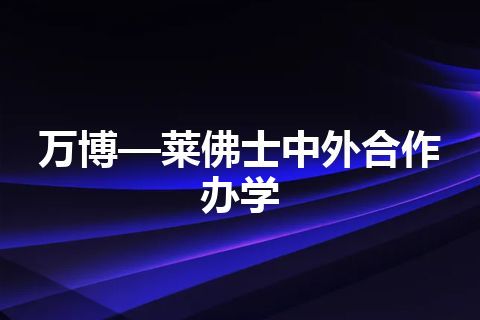 万博—莱佛士中外合作办学