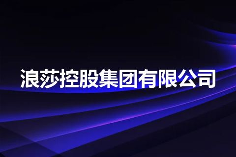 浪莎控股集团有限公司 浪莎控股集团有限公司
