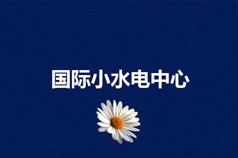 国际小水电中心
