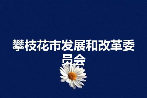 攀枝花市发展和改革委员会