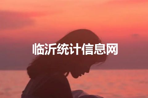 临沂统计信息网