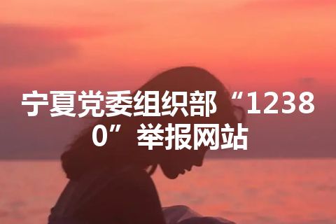 宁夏党委组织部“12380”举报网站
