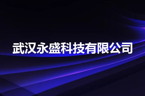 武汉永盛科技有限公司
