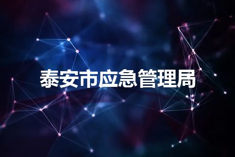 泰安市应急管理局