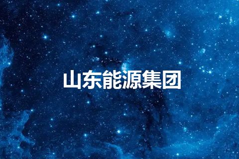 山东能源集团