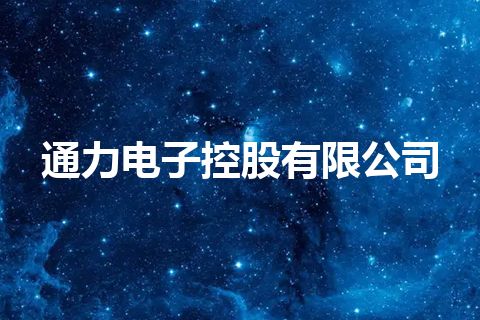 通力电子控股有限公司