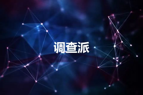 调查派