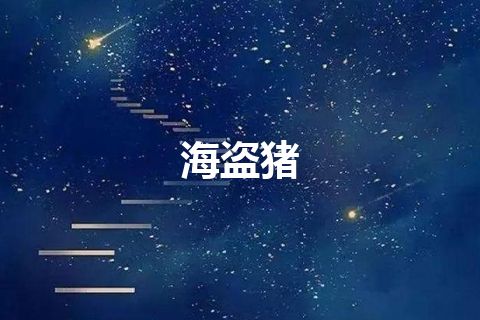 海盗猪