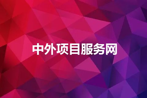 中外项目服务网